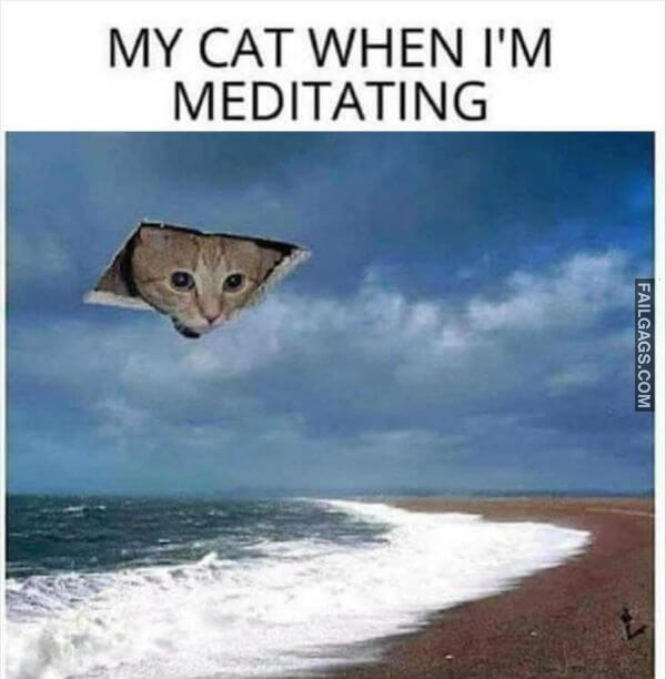 Random Funny Memes 13 1