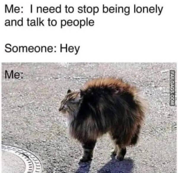 Random Funny Memes 13 3