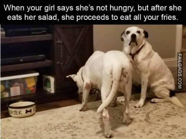 Random Funny Memes 14 1