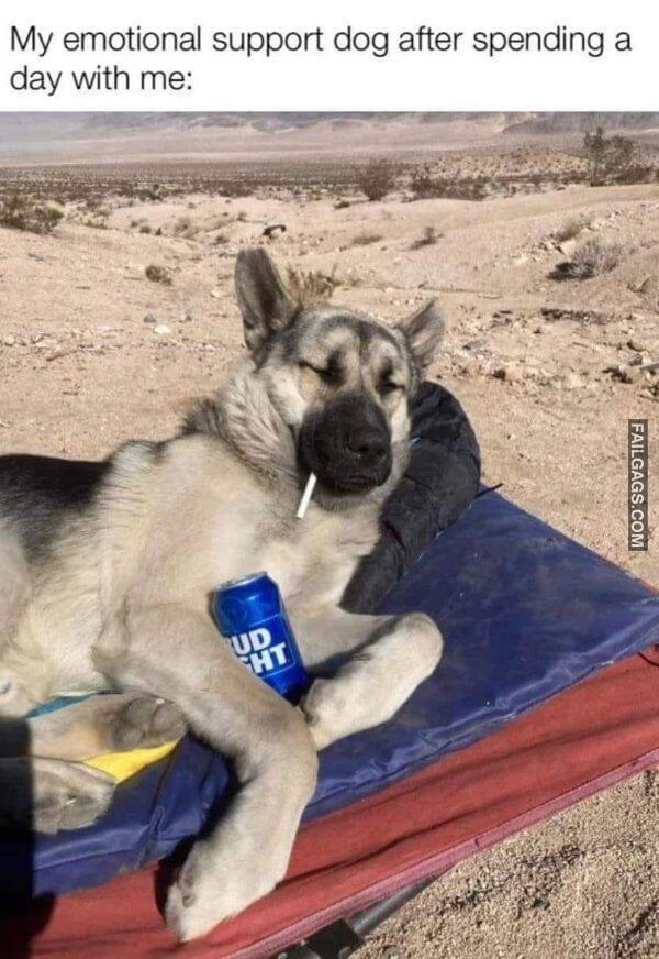 Random Funny Memes 6 6