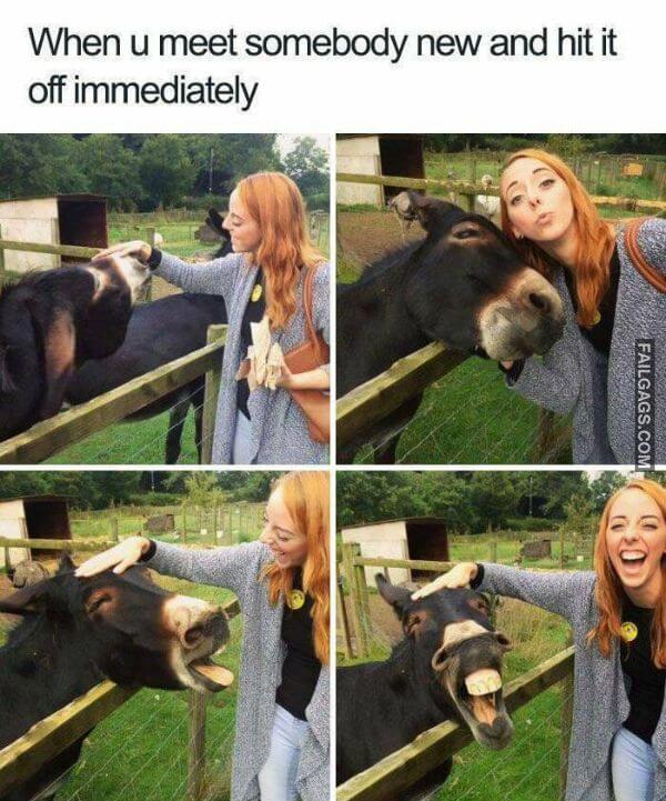 Random Funny Memes 9 5