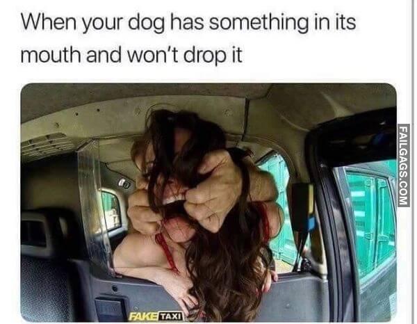 When Your Dog Has Something in Its Mouth and Wont Drop It Funny Dirty Memes