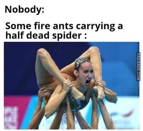 Funny Dirty Memes 12