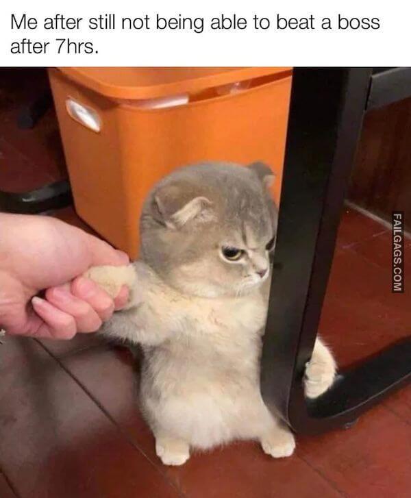 Funny Memes for Gamers 1