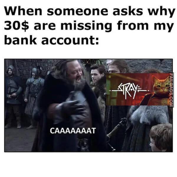 Funny Memes for Gamers 17