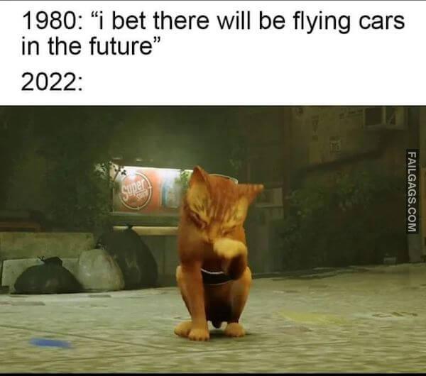 Funny Memes for Gamers 20
