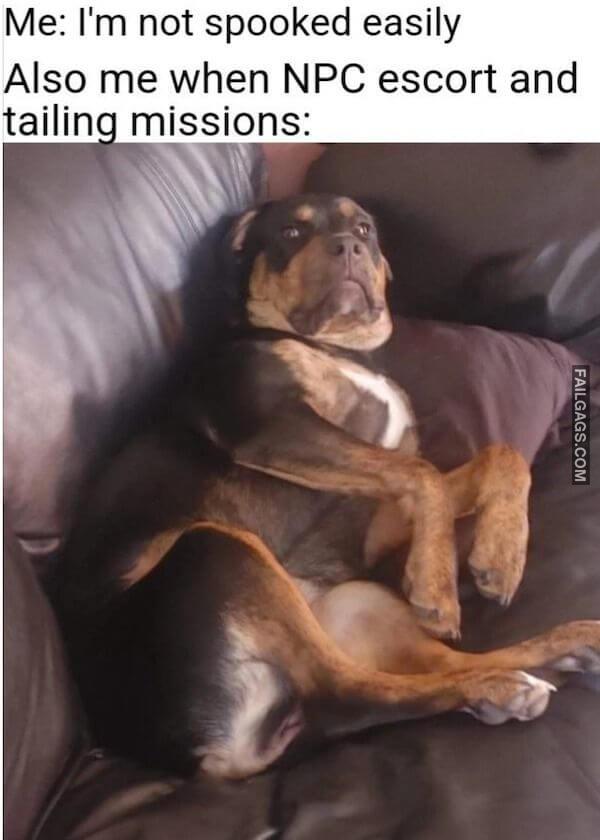 Funny Video Game Memes 6