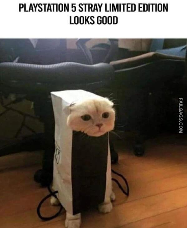 Funny Video Game Memes 9