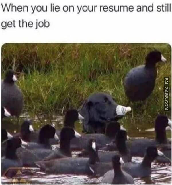 Funny Wisdom Memes 1