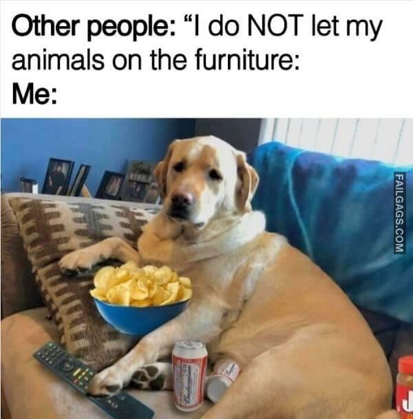 Funny Wisdom Memes 7