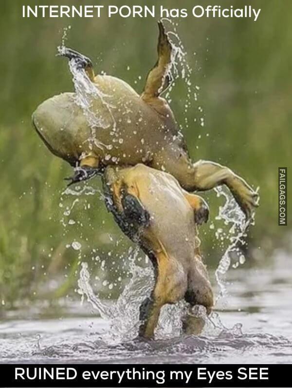 Funny Wisdom Memes 9