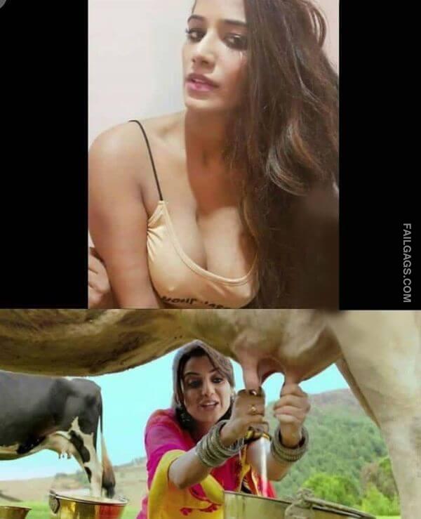 Indian Sex Memes 2