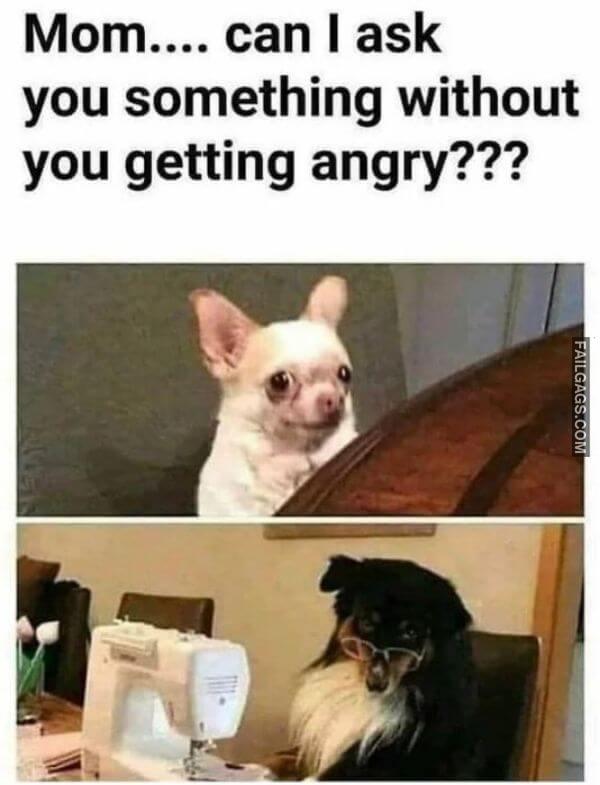Random Funny Memes 1 3