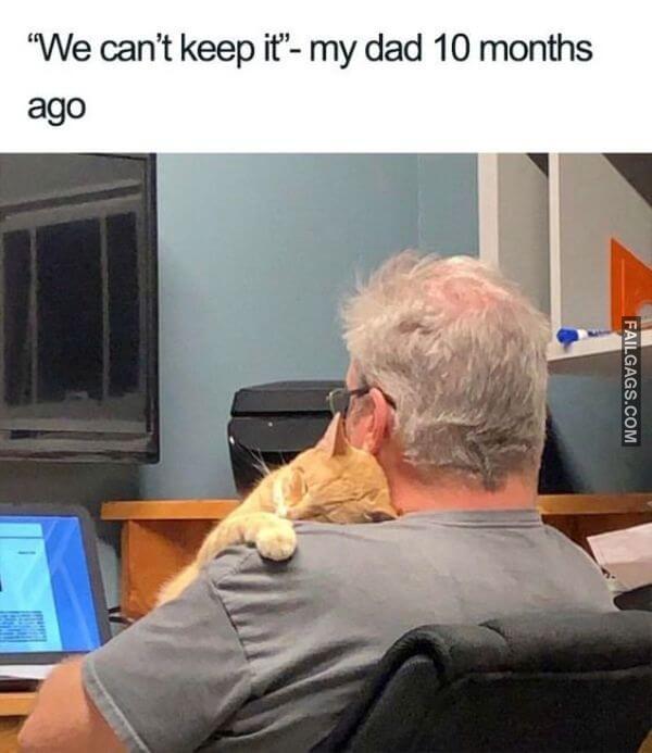 Random Funny Memes 12 3