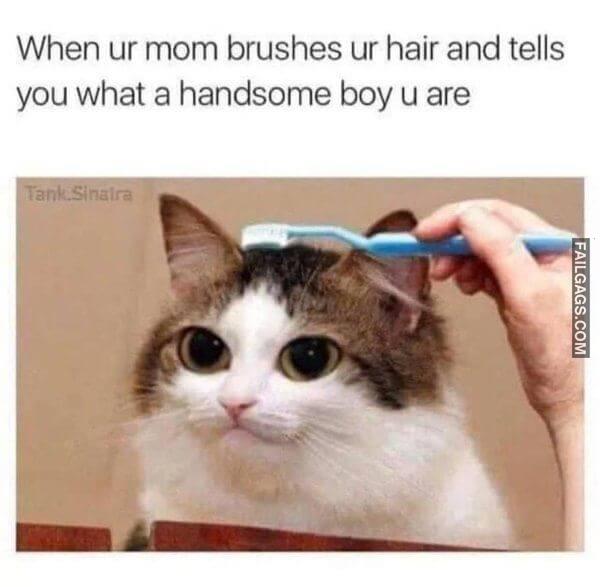 Random Funny Memes 2 3