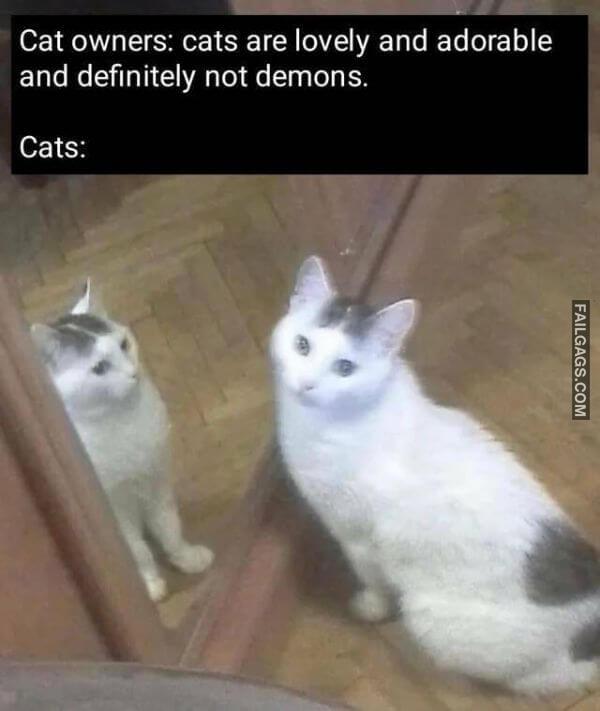 Random Funny Memes 8 3