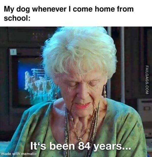 Random Funny Memes 8
