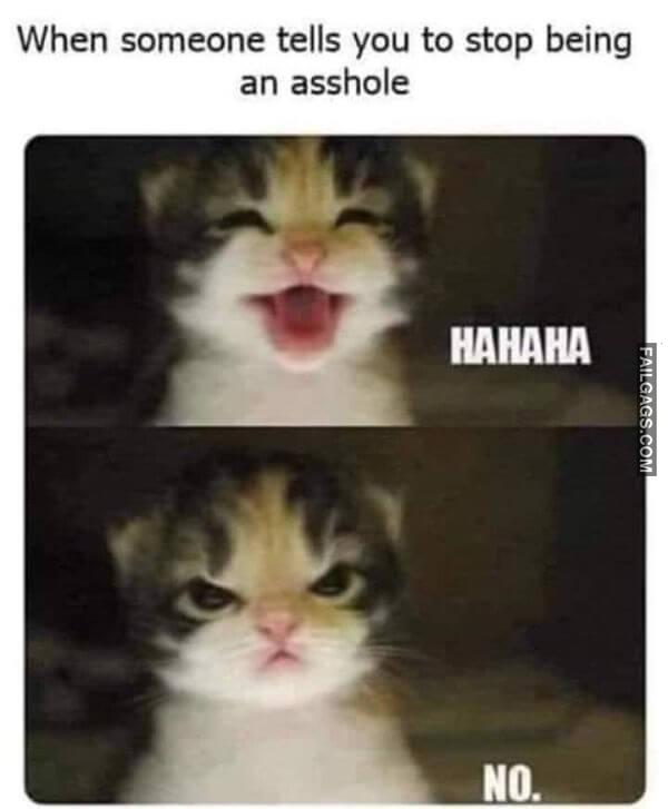 So True Memes Most People Will Relate to 1