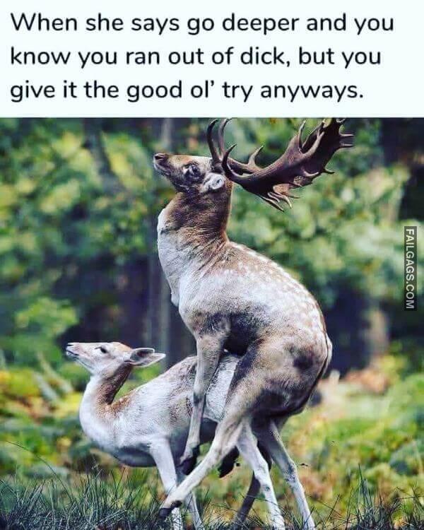 funny adult memes 12