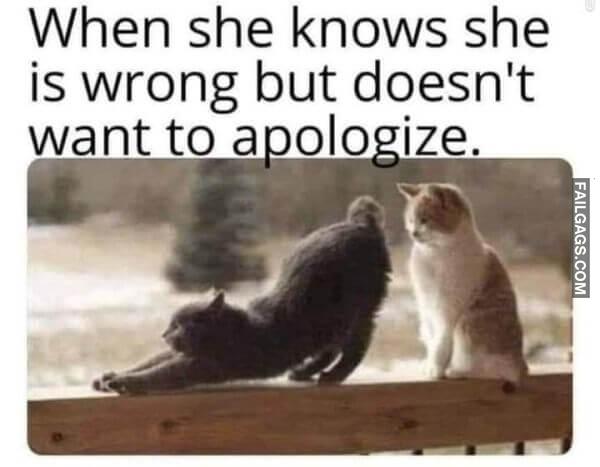 Funny Adult Memes 5 2