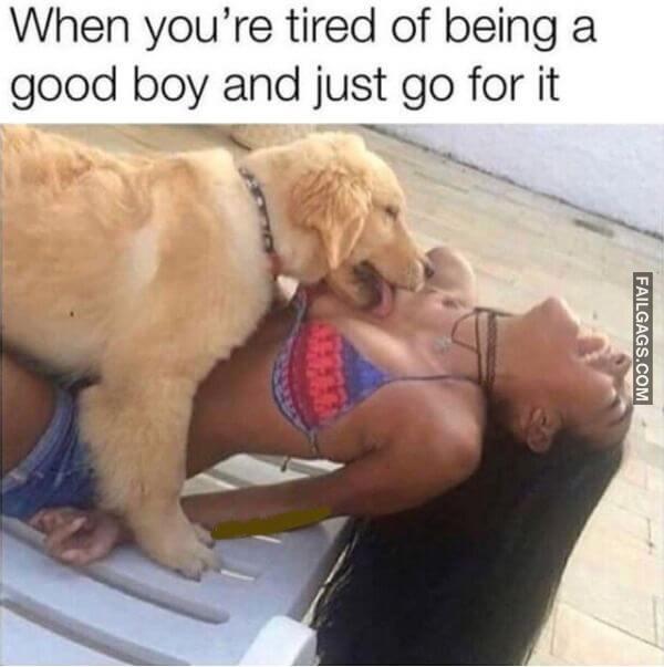 Funny Adult Memes 8