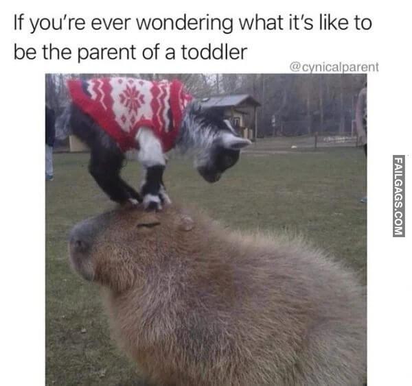 Funny Baby Memes 9