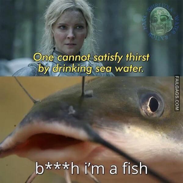 Funny Lord of the Rings Memes 10