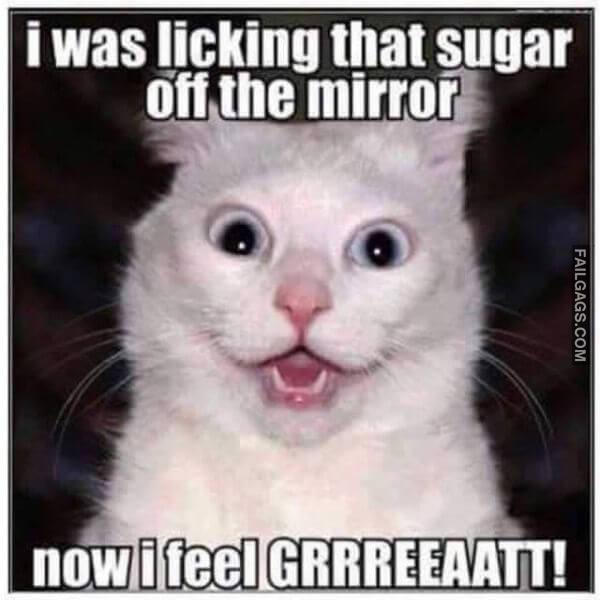 Funny Nailed It Memes 10