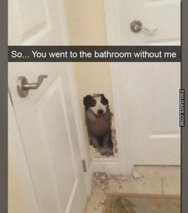 Funny Nailed It Memes 12