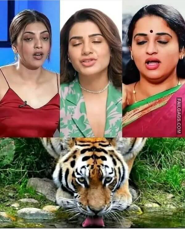 Desi Sex Memes 5