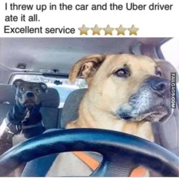 Funny Animal Memes 4