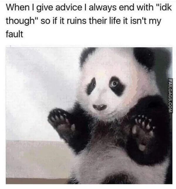 Funny Animal Memes 5