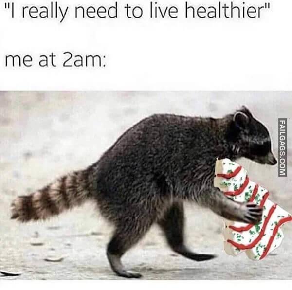 Funny Animal Memes 9