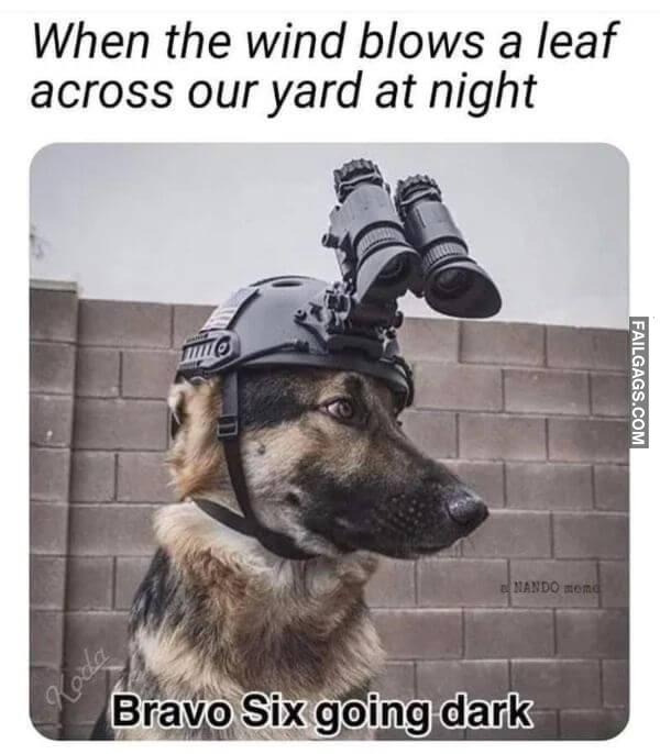 Funny Random Memes 9