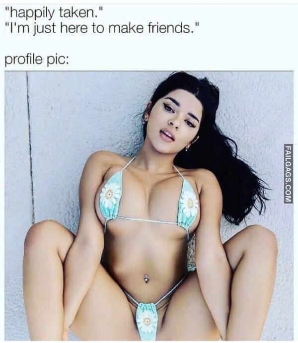 Happily Taken Im Just Here to Make Friends Profile Pic NSFW Memes