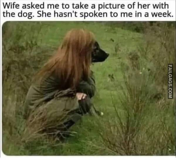 Hilarious Dog Memes 10