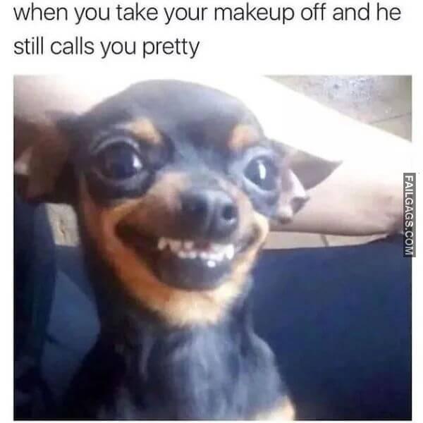 Hilarious Dog Memes 12