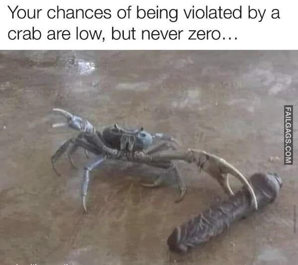 Hilarious Memes 3