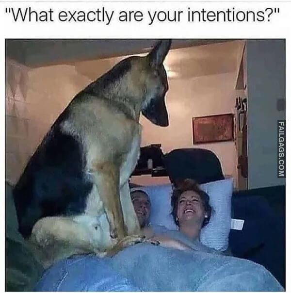 Hilarious Memes 8
