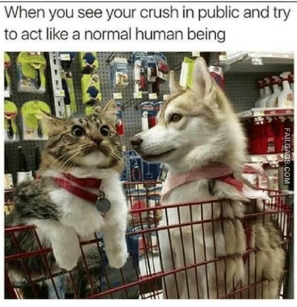 Hilarious Memes 9