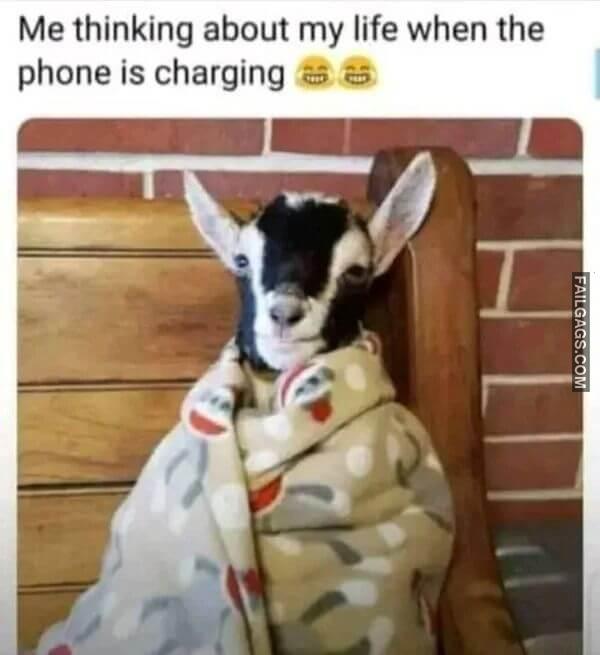 Hilarious Memes Most People Will Relate to 6