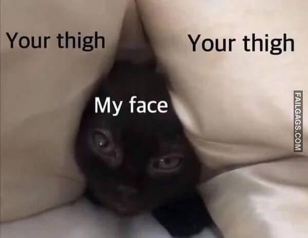 Funny Adult Memes 12