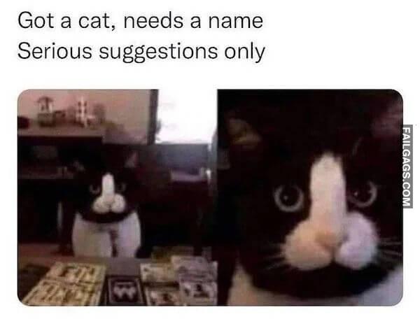 Funny Adult Memes 5 3