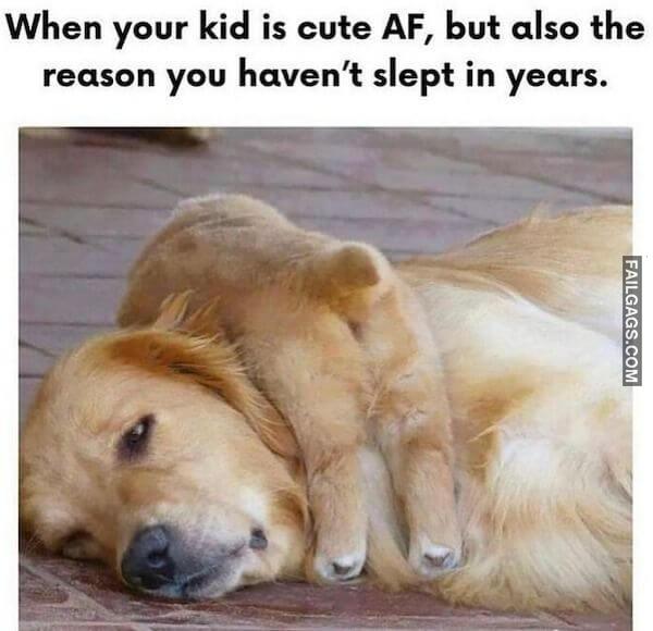 Funny Dad Memes 7