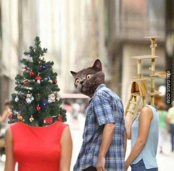 Hilarious Christmas Memes 4