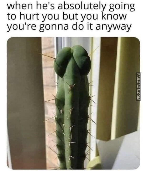 NSFW Memes 6