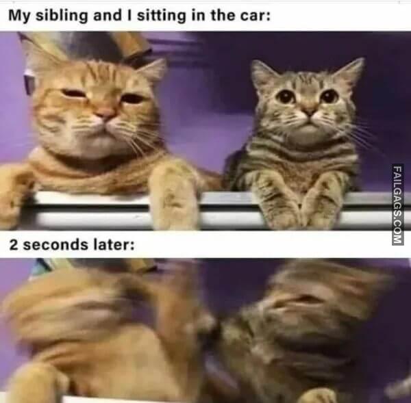 Random Funny Memes 1 5