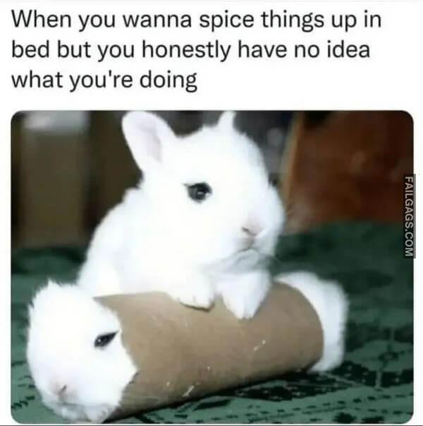 Random Funny Memes 10 4