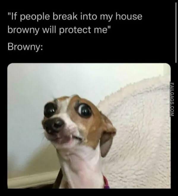 Random Funny Memes 2 1