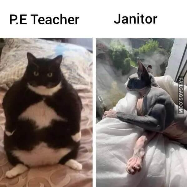 Random Funny Memes 3 3